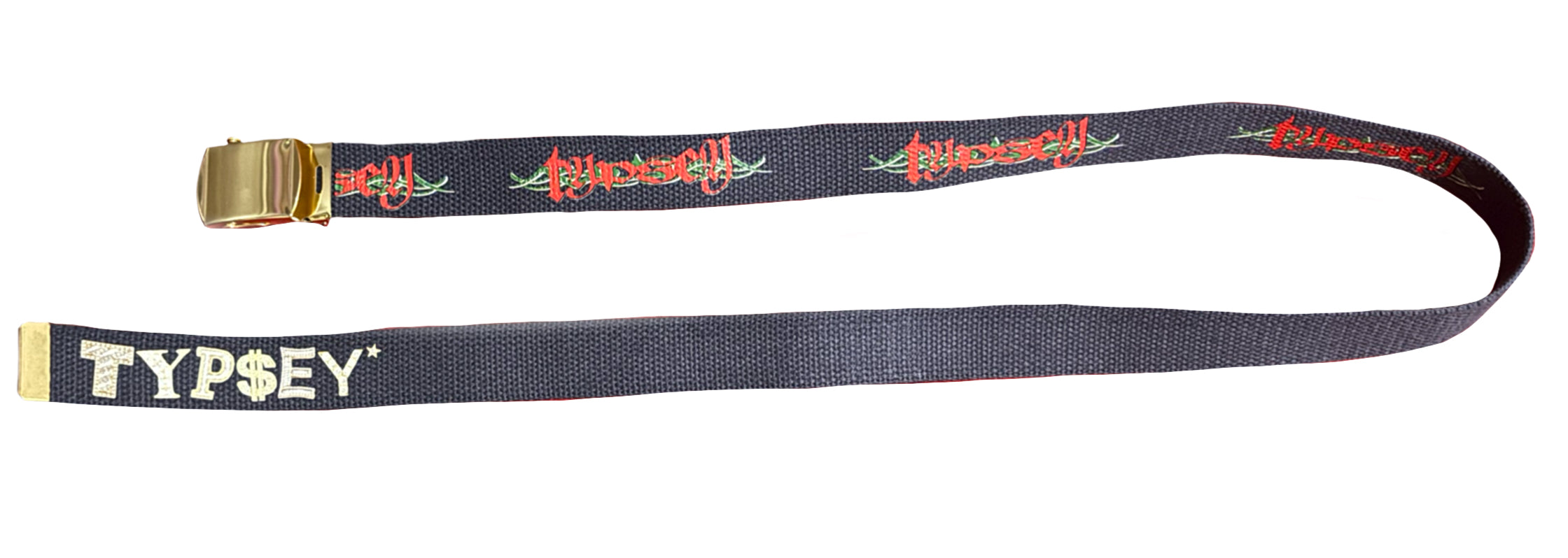 TYPSEY WEB BELT